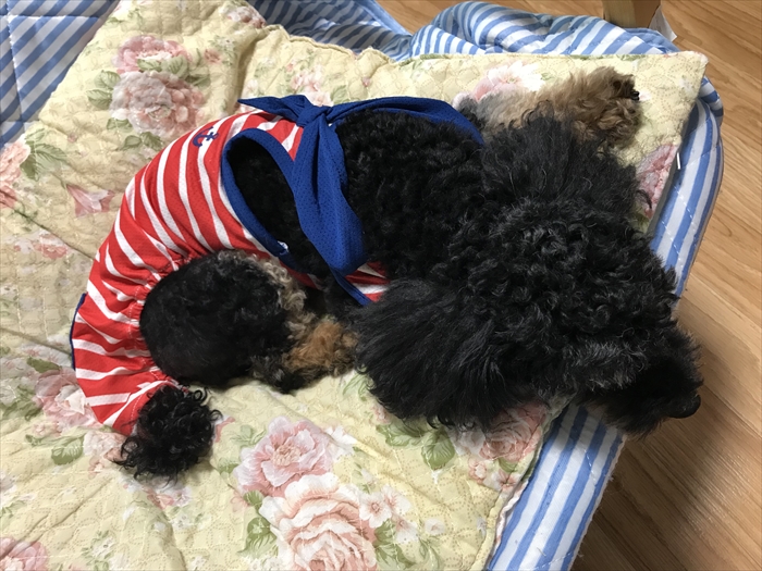 f:id:acha03:20211214113352j:plain