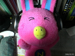 ヘッドホン＋NOVAうさぎ
