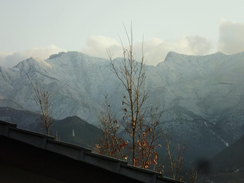 雪国になった四国は伊予の国なる新居浜市 - 阿智胡地亭のShot日乗
