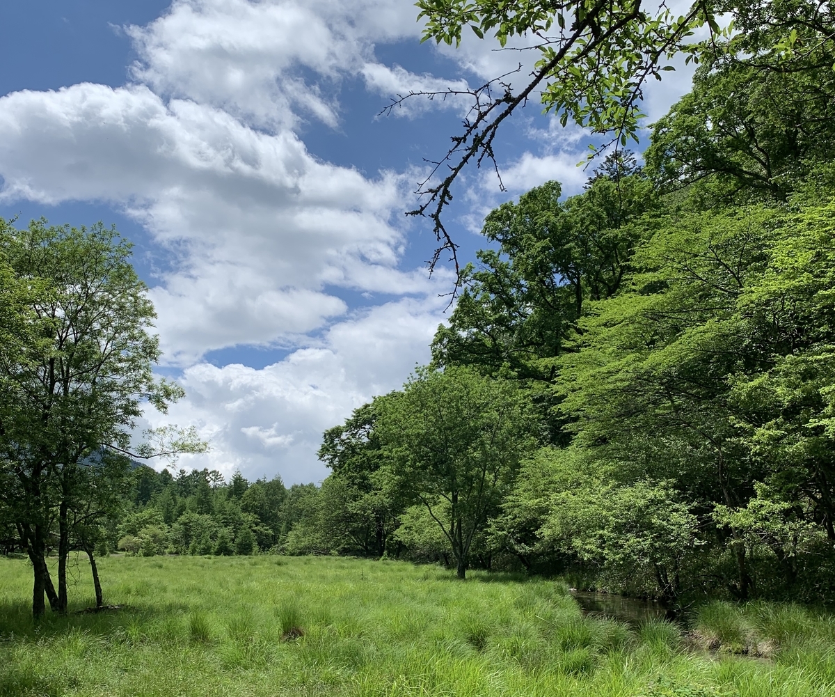 f:id:achina_7035:20200726112213j:plain