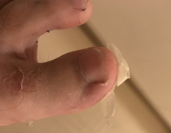 f:id:achipion:20190613232709j:plain f:id:achipion:20190613232709j:plain