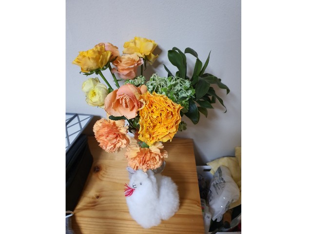 枯れた花が水切りだけで生き返った 楽しい事しかしたくない