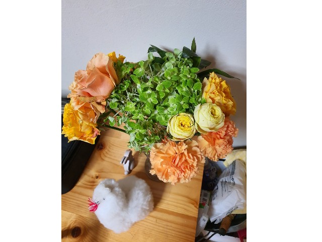 枯れた花が水切りだけで生き返った 楽しい事しかしたくない
