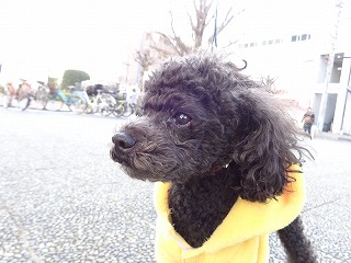 f:id:achro2005:20200206113328j:plain f:id:achro2005:20200206113328j:plain