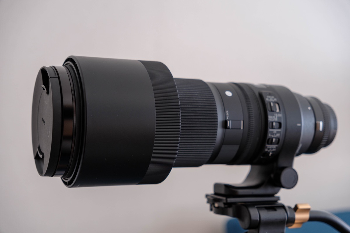 SIGMA 150-600mm F5-6.3 DG OS HSM|Contemporary をXマウントで SIGMA 150-600mm F5-6.3 DG OS HSM|Contemporary をXマウントで