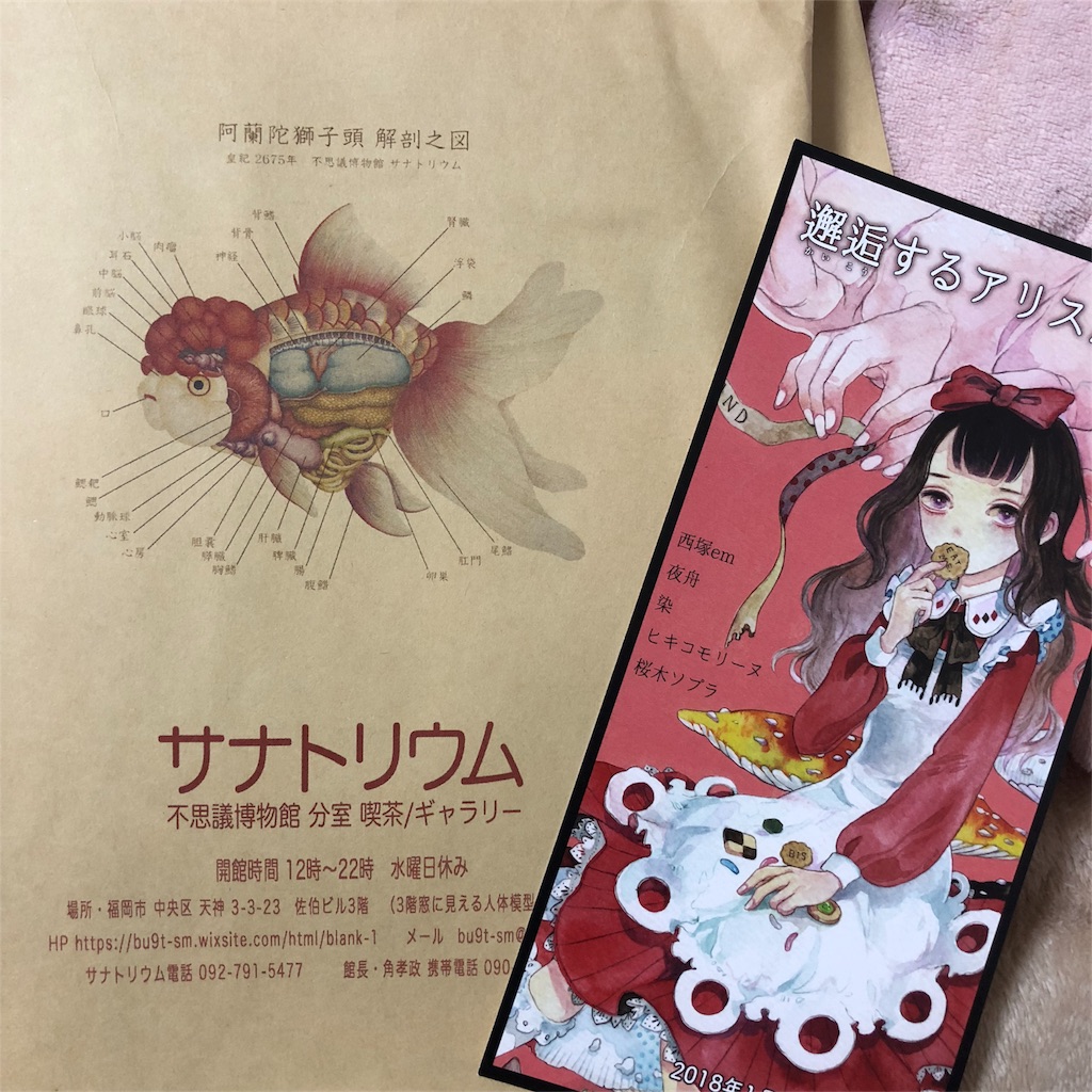 f:id:acid-syrup:20180111220135j:image f:id:acid-syrup:20180111220135j:image