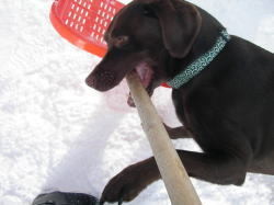 f:id:ackee:20210708144214j:plain