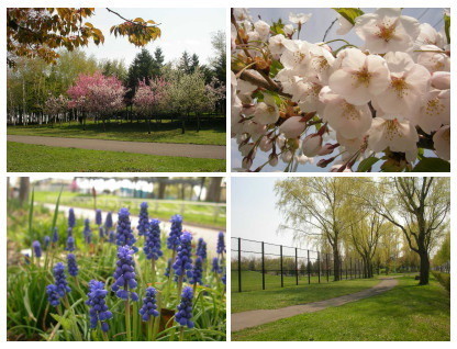 f:id:ackee:20210708163523j:plain