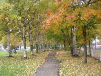 f:id:ackee:20210711181346j:plain