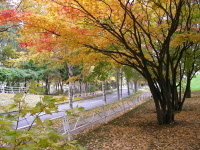 f:id:ackee:20210711181357j:plain