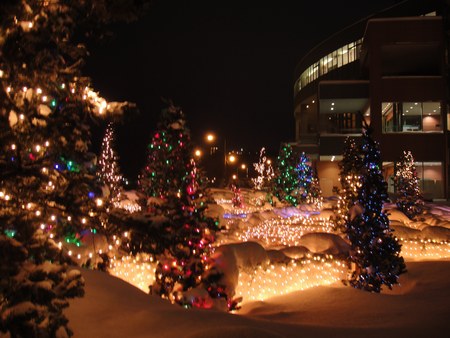 f:id:ackee:20210716165409j:plain