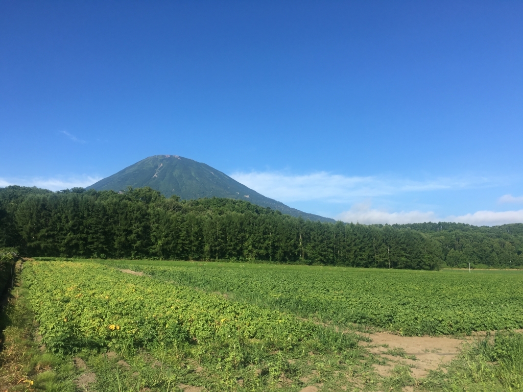 f:id:aclmugi:20170822210312j:plain f:id:aclmugi:20170822210312j:plain