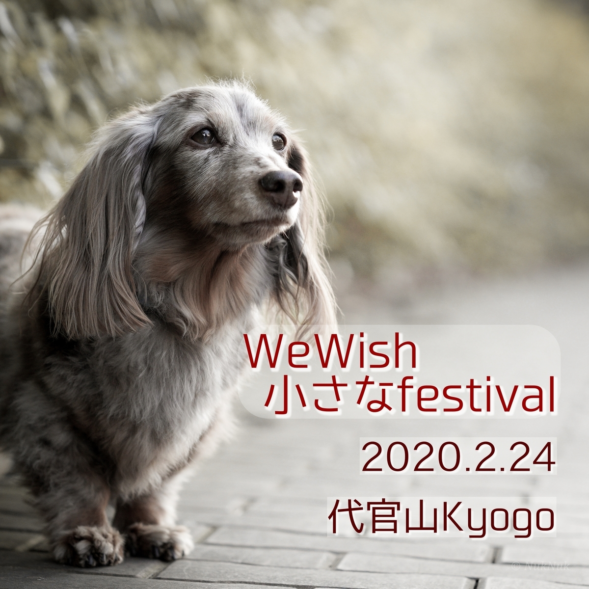 f:id:acnuku:20200217000038j:plain