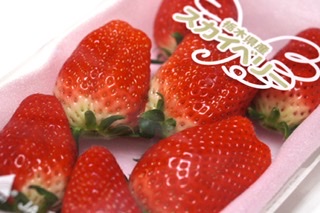 f:id:acnuku:20200220235817j:plain