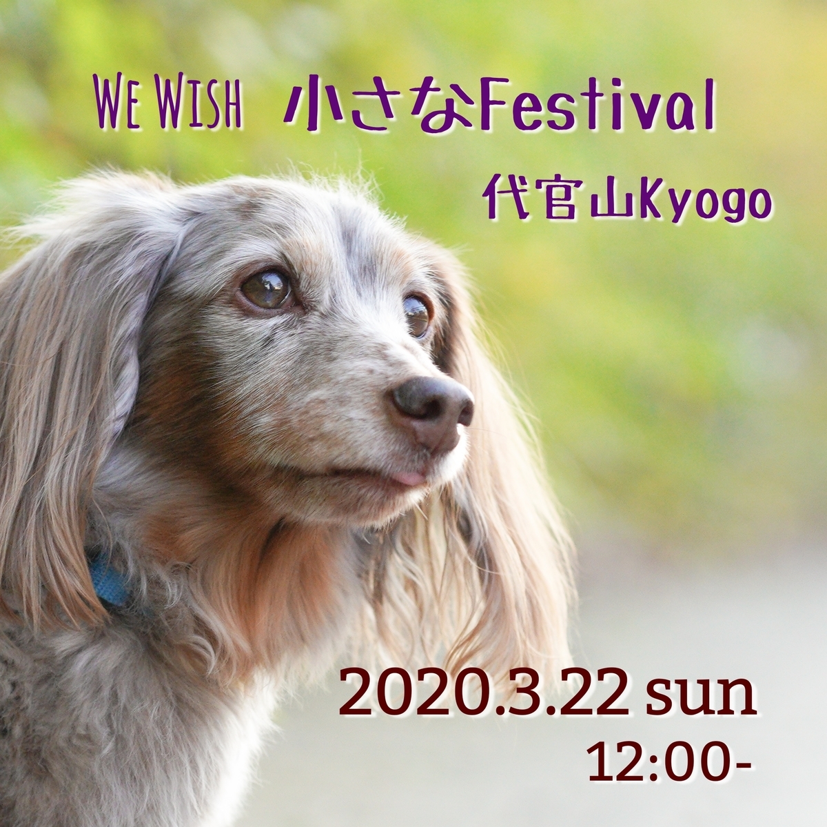 f:id:acnuku:20200320230430j:plain