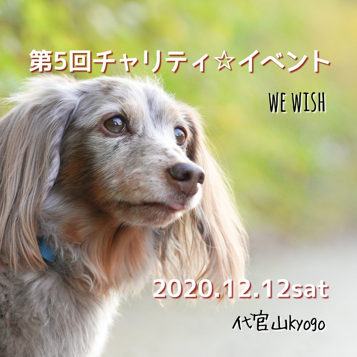 f:id:acnuku:20201205111934j:plain