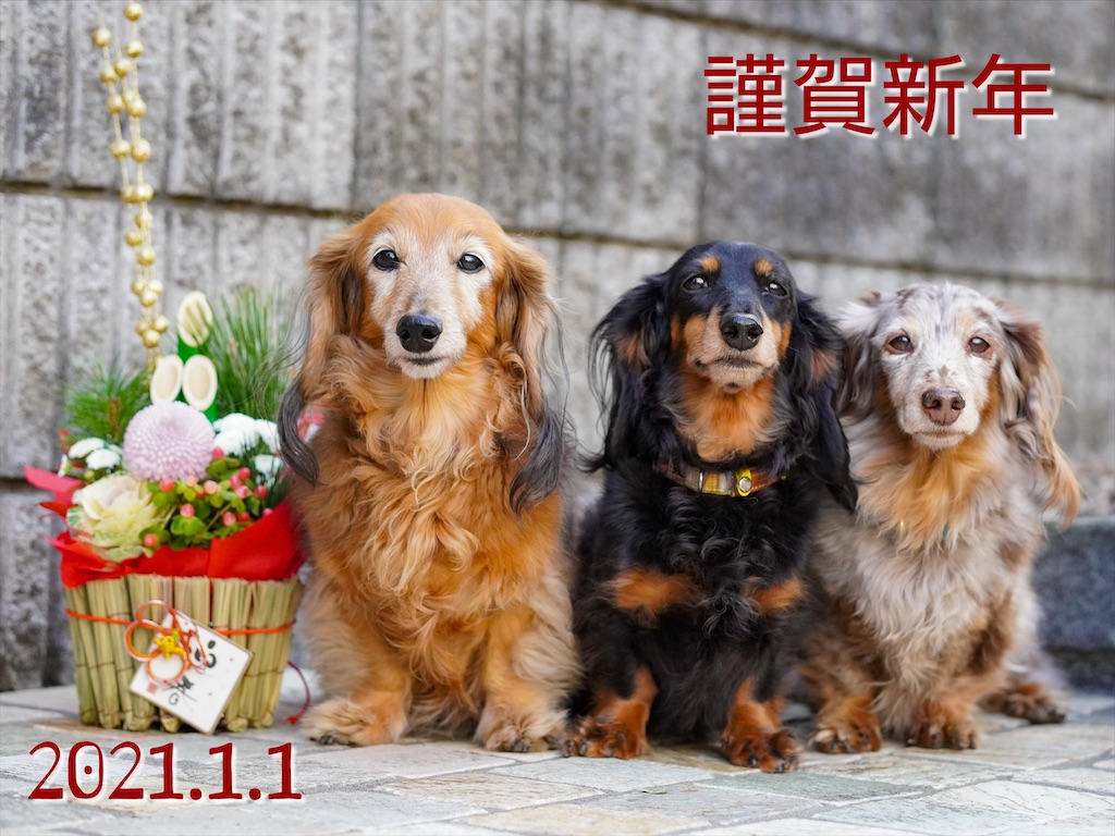 f:id:acnuku:20210102002810j:image