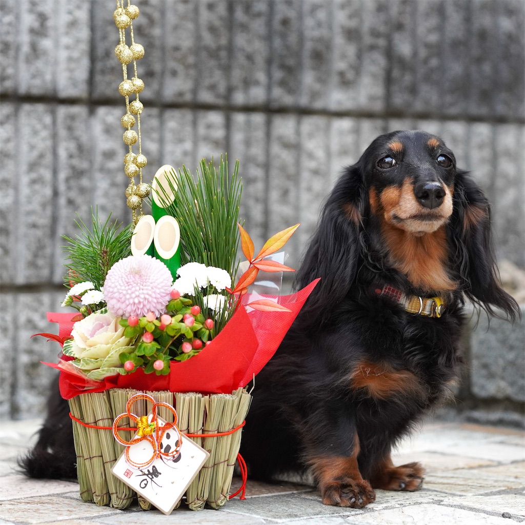 f:id:acnuku:20210102233644j:image