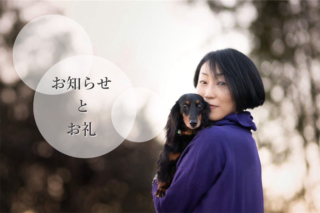 f:id:acnuku:20240920074724j:image
