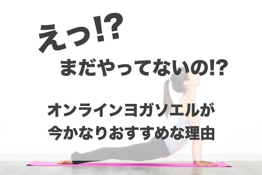 f:id:aco-blo:20200416131513j:image