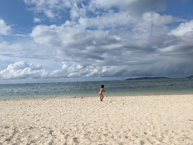 f:id:acoaco1122:20231009232428j:image f:id:acoaco1122:20231009232428j:image