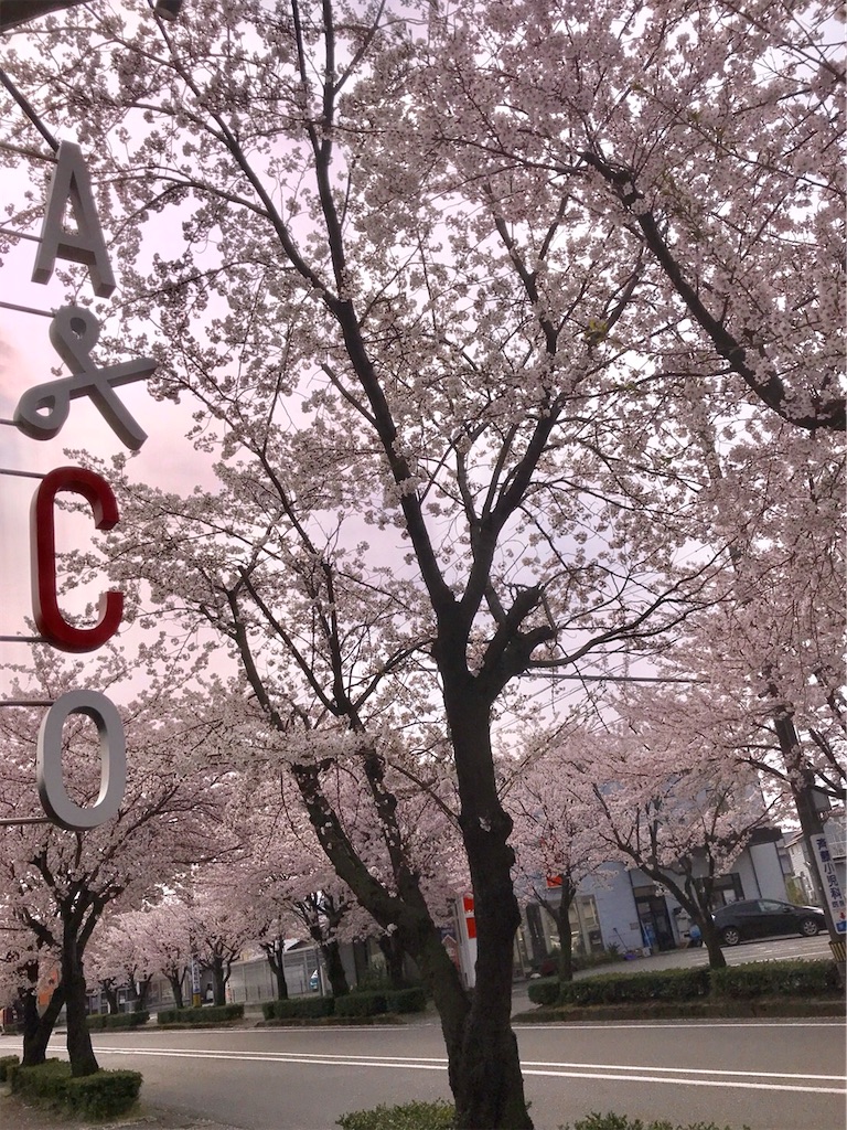 f:id:acohair:20200408090305j:image