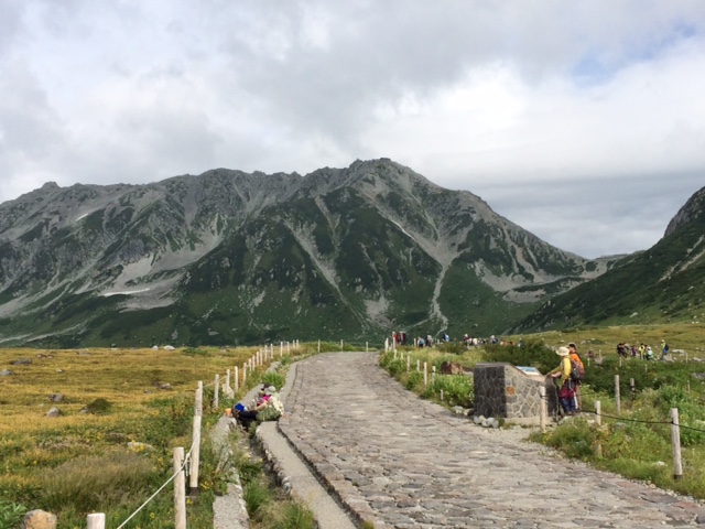 f:id:acoico:20170703224515j:plain f:id:acoico:20170703224515j:plain