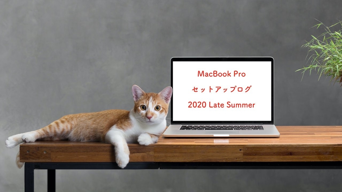 f:id:acokikoy:20200921152842j:plain