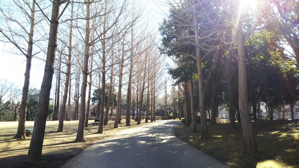 f:id:aconote:20161221232739j:plain