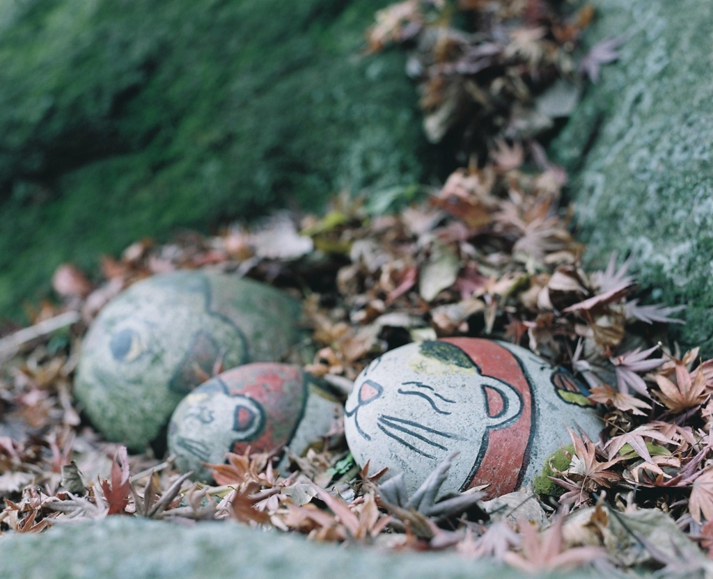 f:id:acopi:20170412185847j:plain f:id:acopi:20170412185847j:plain