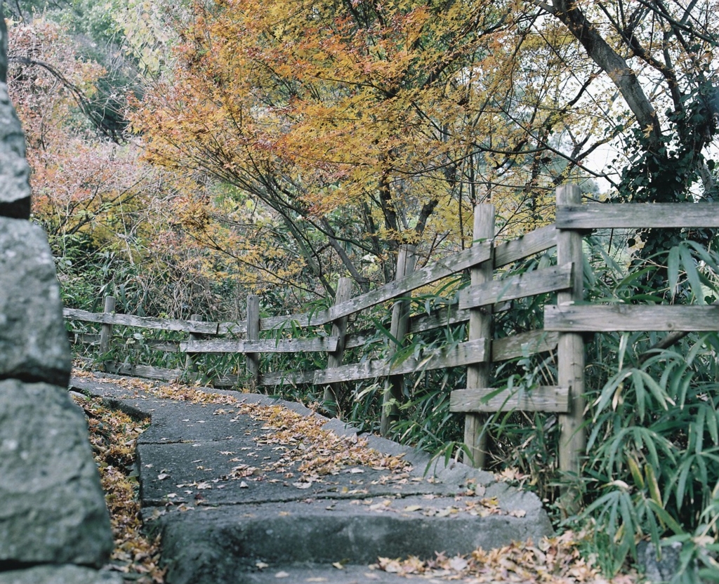 f:id:acopi:20170412190214j:plain f:id:acopi:20170412190214j:plain