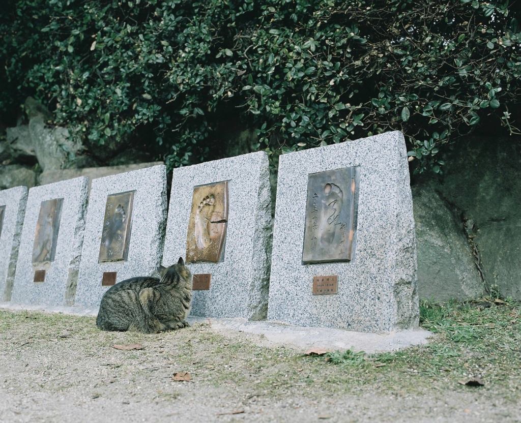 f:id:acopi:20170412190355j:plain f:id:acopi:20170412190355j:plain