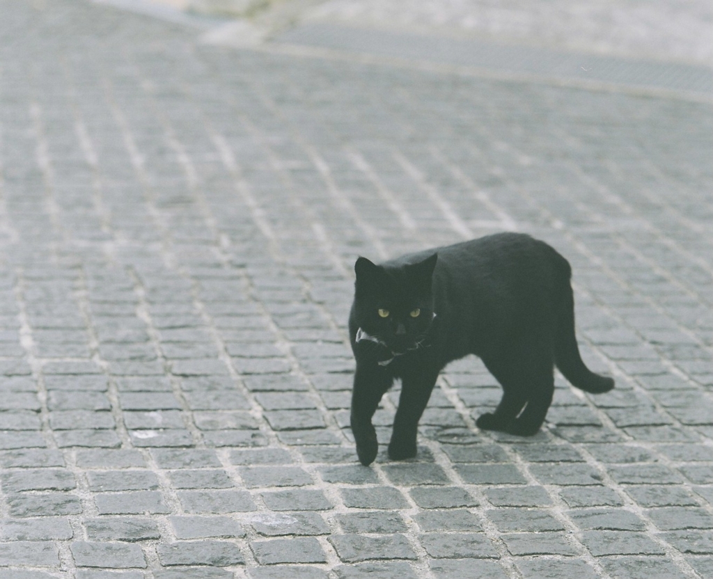 f:id:acopi:20170412190605j:plain f:id:acopi:20170412190605j:plain