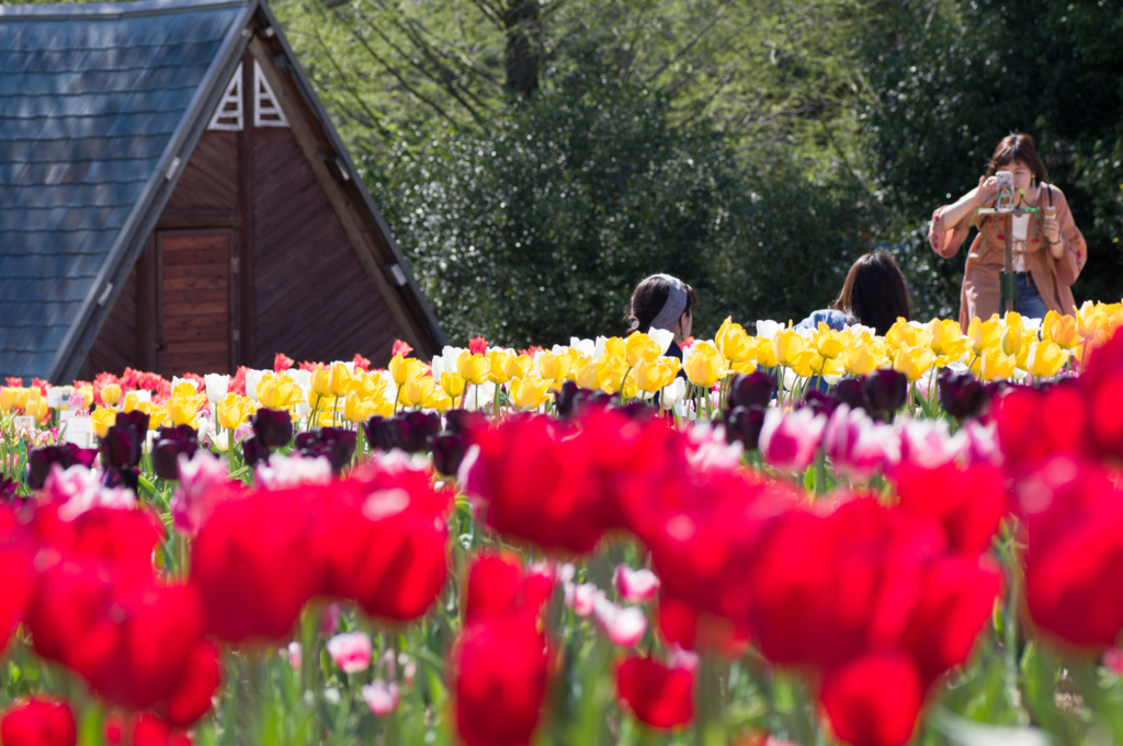 f:id:acopi:20170424145937j:plain