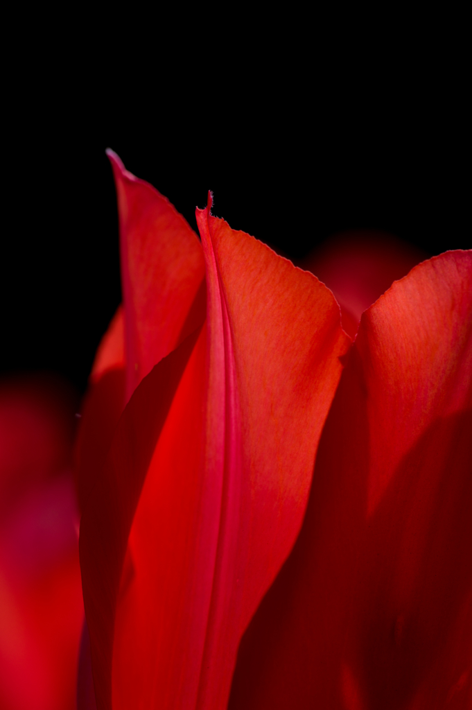 f:id:acopi:20170424152704j:plain