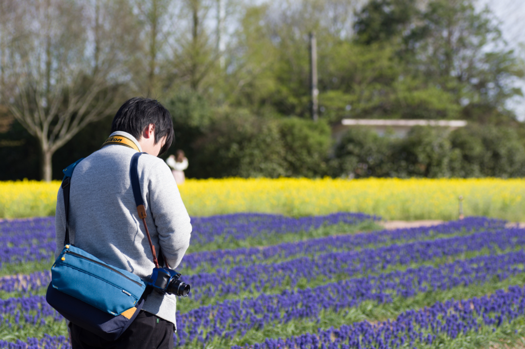 f:id:acopi:20170424161858j:plain