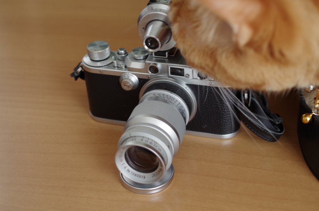 f:id:acopi:20170510155849j:plain