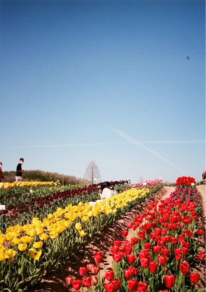 f:id:acopi:20170823180723j:image