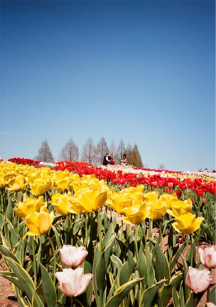 f:id:acopi:20170823180741j:image