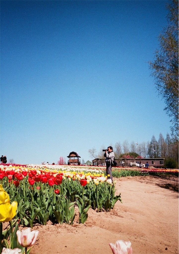 f:id:acopi:20170823180800j:image