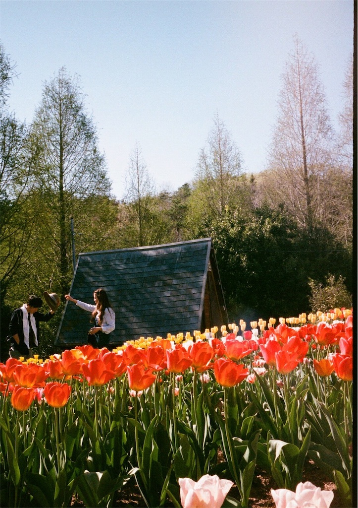 f:id:acopi:20170823180818j:image