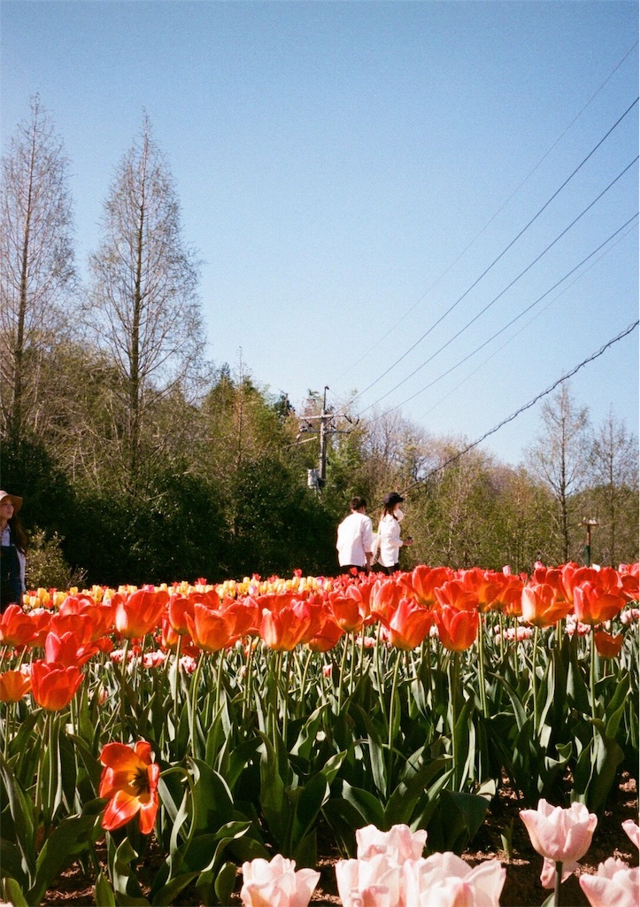 f:id:acopi:20170823180839j:image