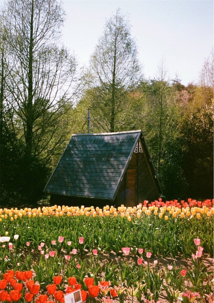 f:id:acopi:20170823180908j:image