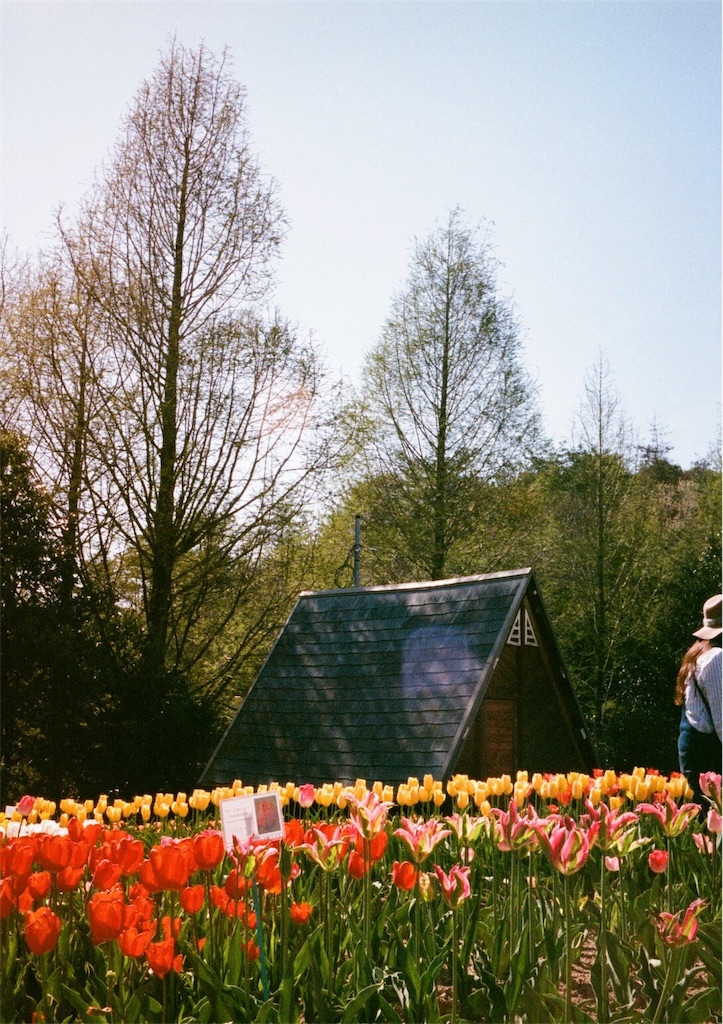 f:id:acopi:20170823180945j:image