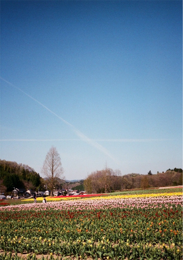 f:id:acopi:20170823181019j:image