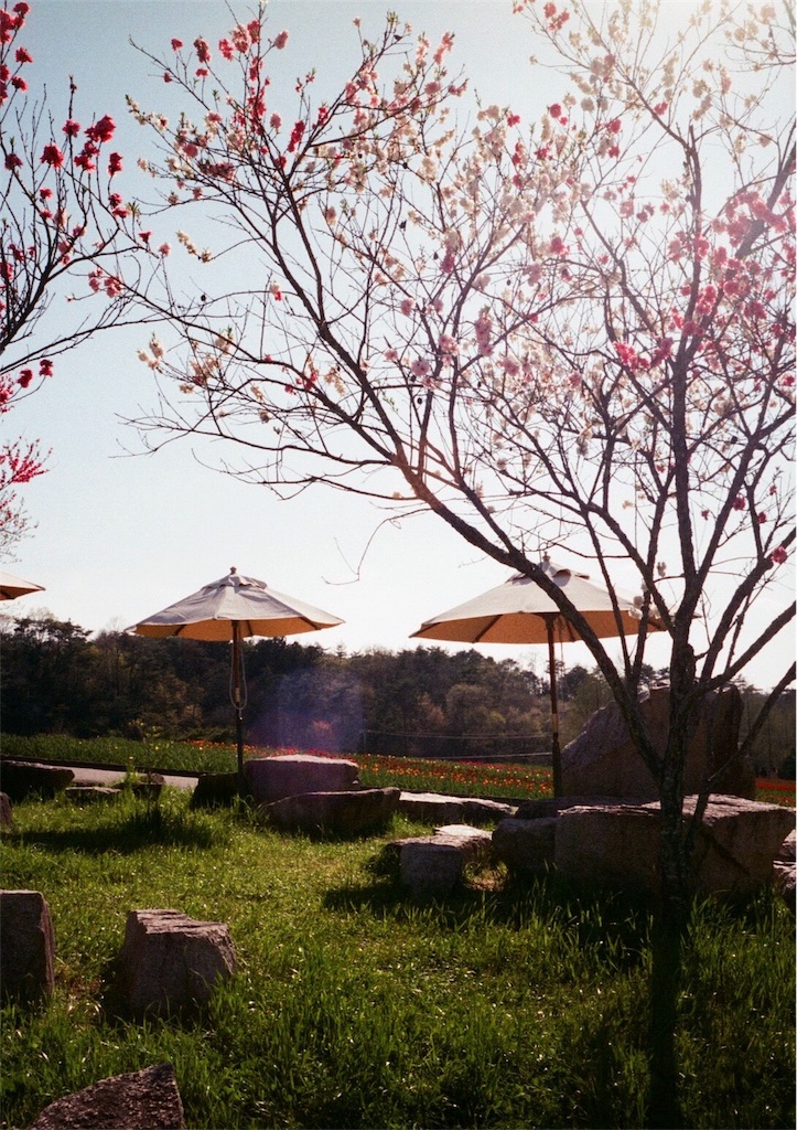 f:id:acopi:20170823181117j:image