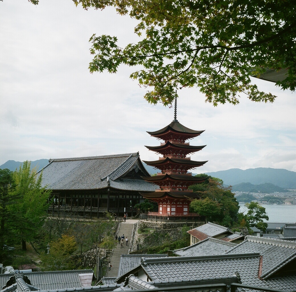 f:id:acopi:20171121202902j:plain