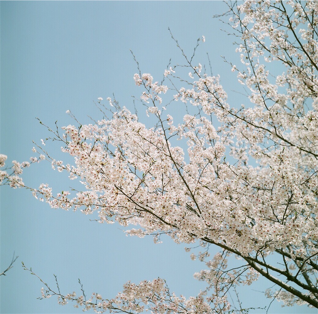 f:id:acopi:20180407190350j:image f:id:acopi:20180407190350j:image