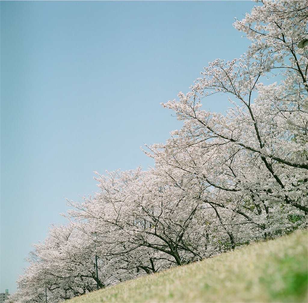 f:id:acopi:20180407190421j:image f:id:acopi:20180407190421j:image