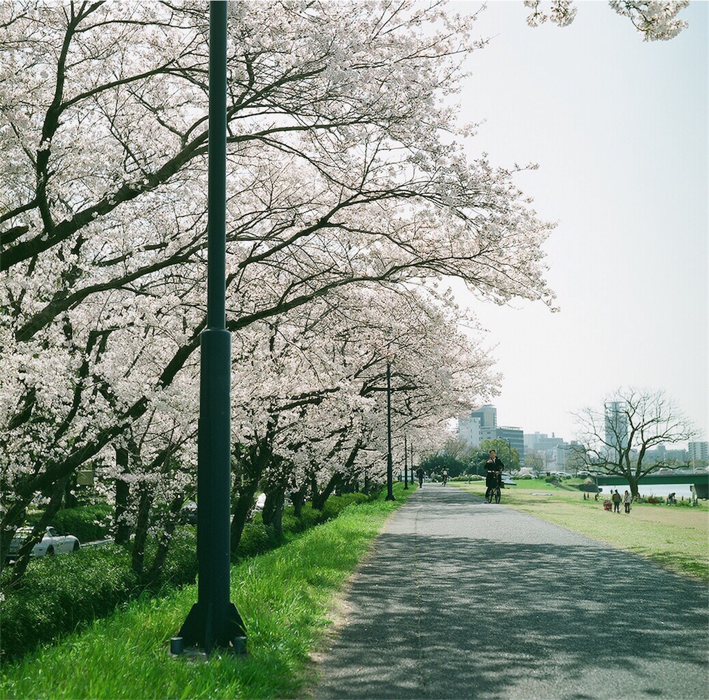 f:id:acopi:20180407192314j:image f:id:acopi:20180407192314j:image